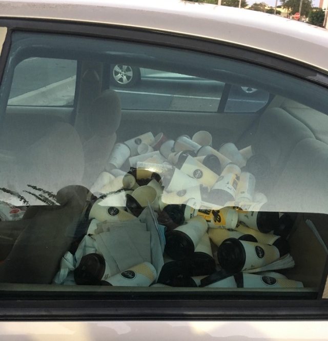 Acid Picdump (99 pics)