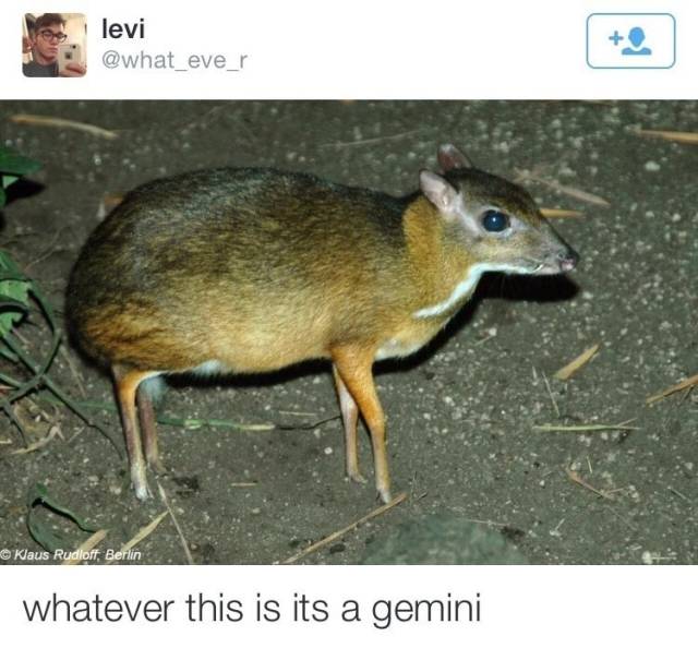 Astrology Memes (25 pics)