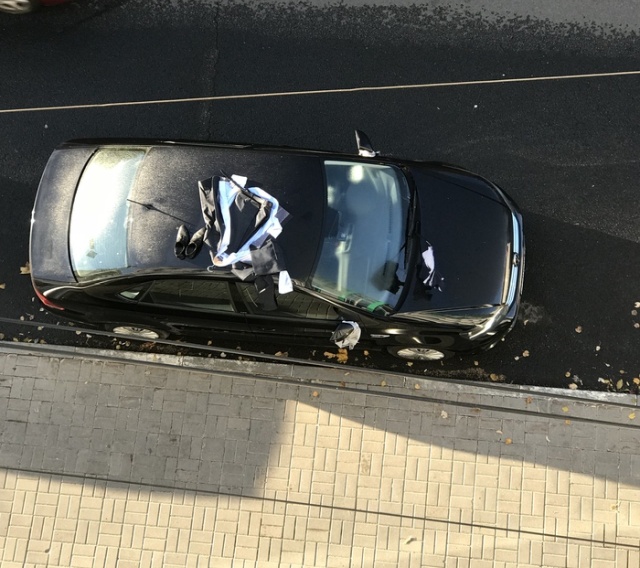 Someone's Having A Bad Day (4 pics)