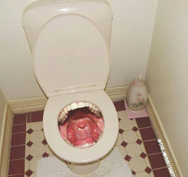 Unusual Toilets (28 pics)