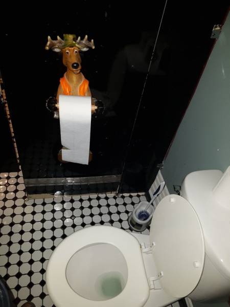 Unusual Toilets (28 pics)