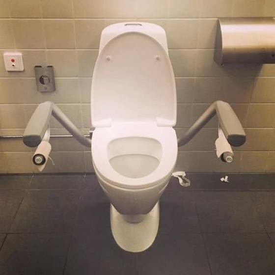 Unusual Toilets (28 pics)