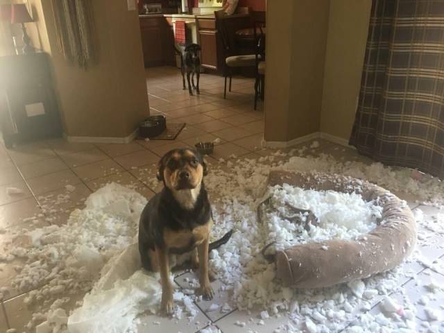 Having A Bad Day (50 pics)