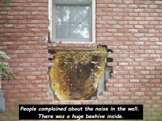 Having A Bad Day (50 pics)