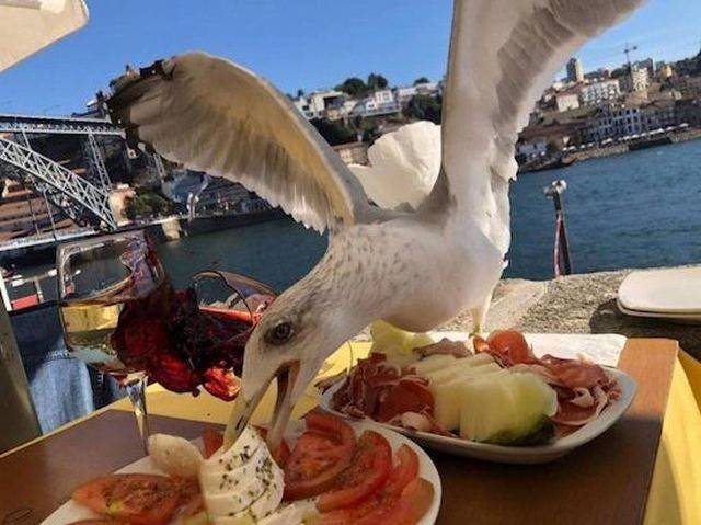 Having A Bad Day (50 pics)