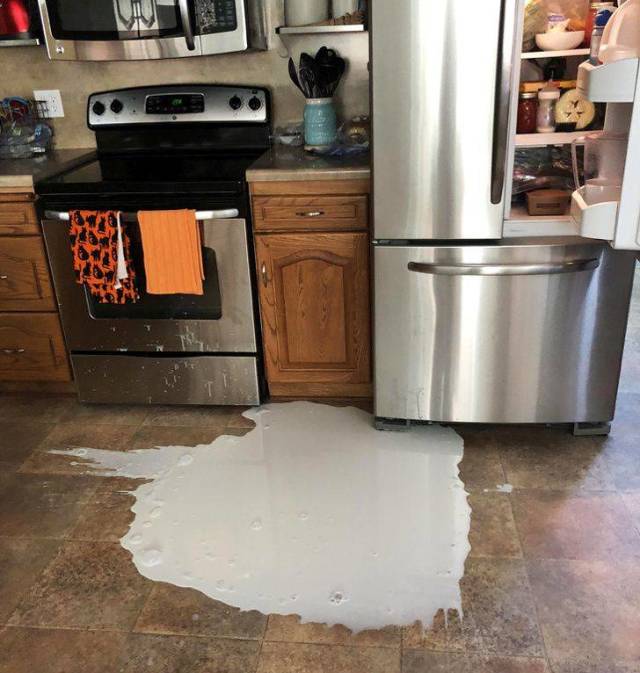 Having A Bad Day (50 pics)