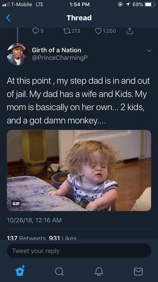 Crazy Story About Gangsters, Monkeys, and Murder (15 pics)