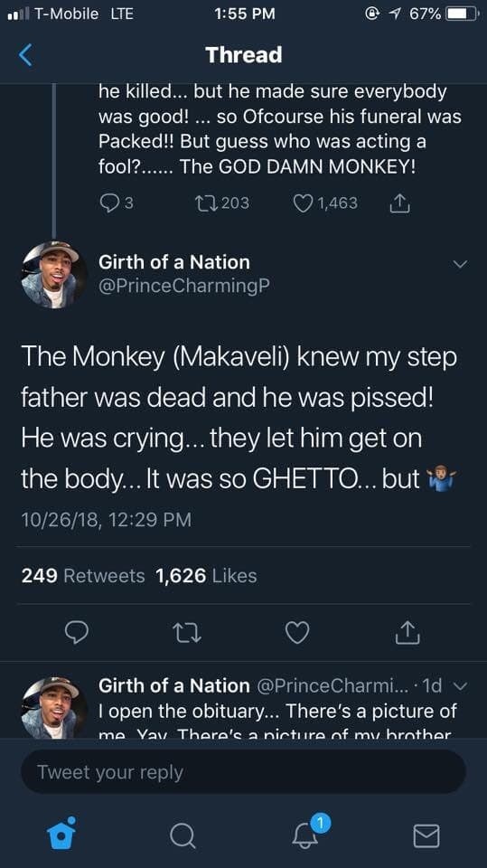Crazy Story About Gangsters, Monkeys, and Murder (15 pics)