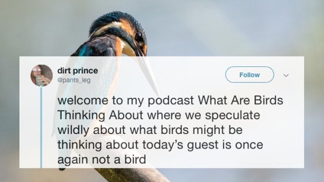 Awesome Tweets (30 pics)