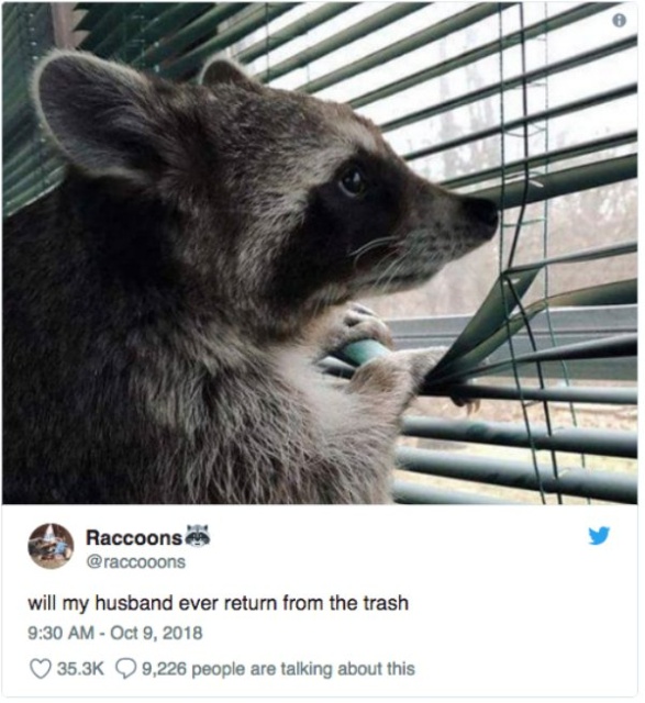 Awesome Tweets (30 pics)