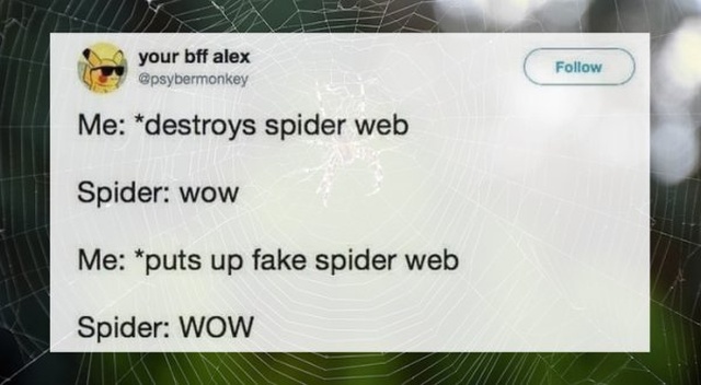 Awesome Tweets (30 pics)