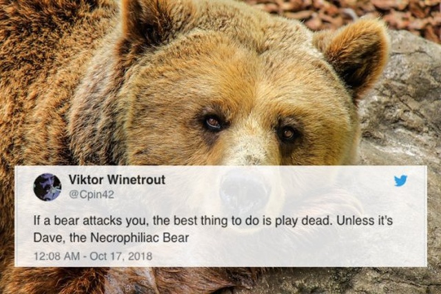 Awesome Tweets (30 pics)