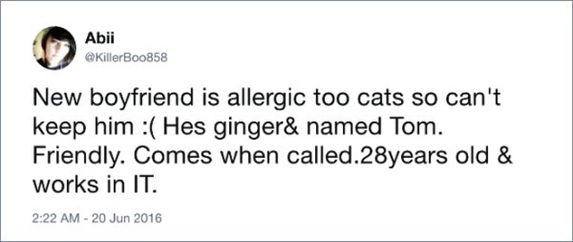 Funny tweets With Unexpected Endings (17 pics)