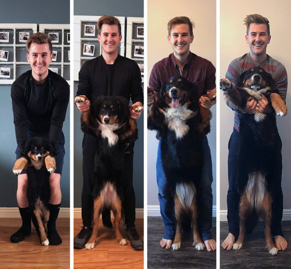 Before And After. Part 2 (30 pics)