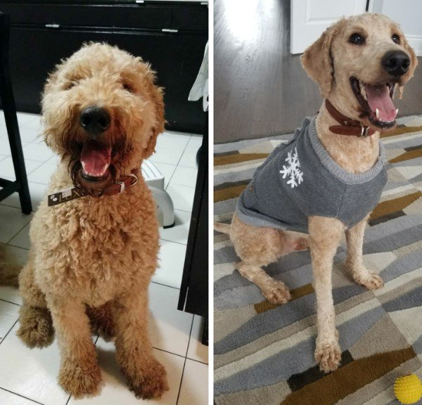 Before And After. Part 2 (30 pics)