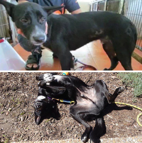 Before And After. Part 2 (30 pics)