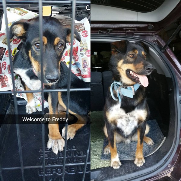 Before And After. Part 2 (30 pics)