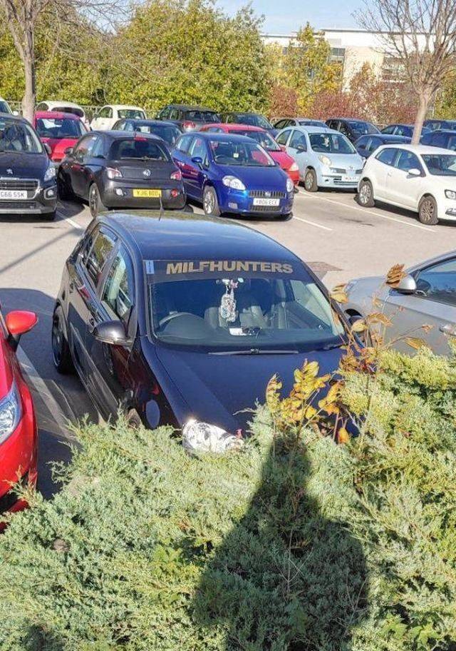 Fun Pics For Adults (50 pics)