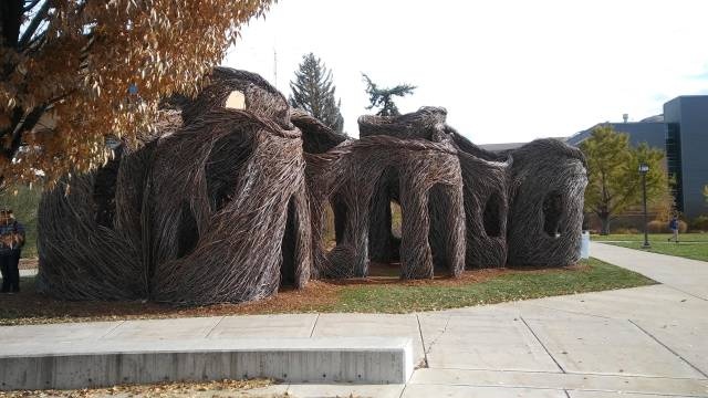 Acid Picdump (95 pics)