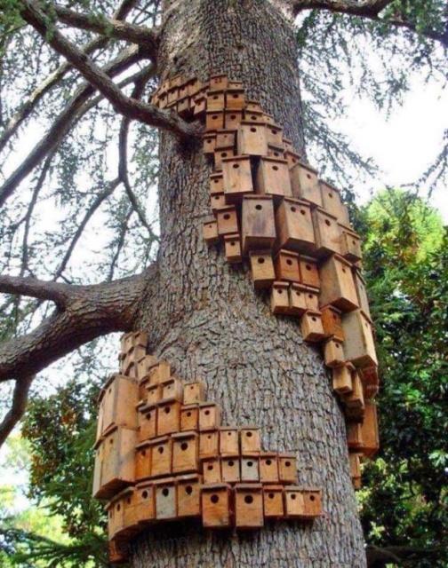 Acid Picdump (95 pics)