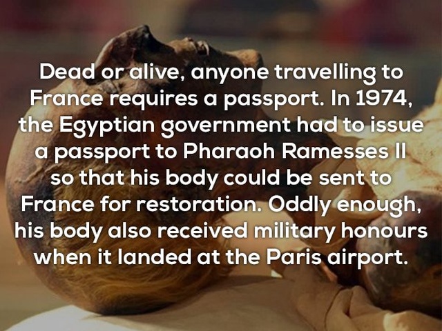 Interesting Facts (25 pics)