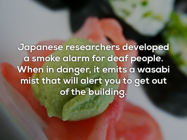 Interesting Facts (25 pics)