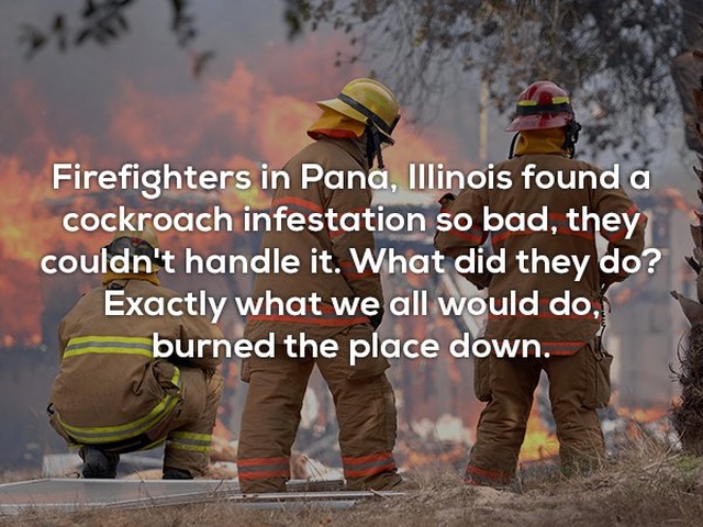 Interesting Facts (25 pics)