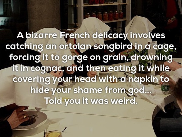 Interesting Facts (25 pics)