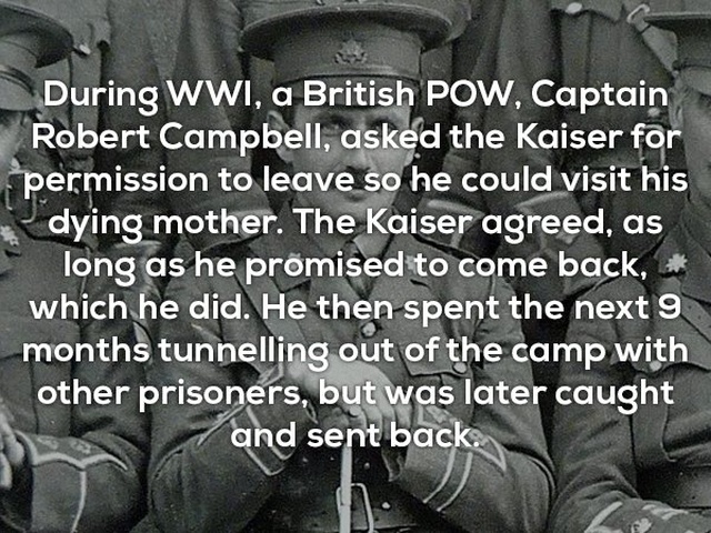 Interesting Facts (25 pics)