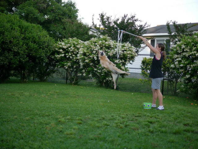 Perfectly Timed Photos (50 pics)