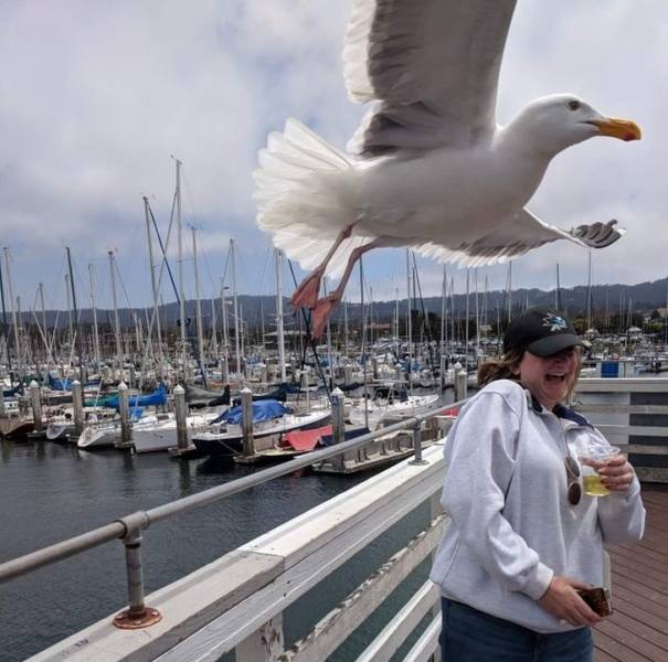 Perfectly Timed Photos (50 pics)