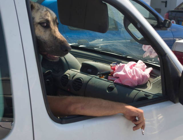 Perfectly Timed Photos (50 pics)