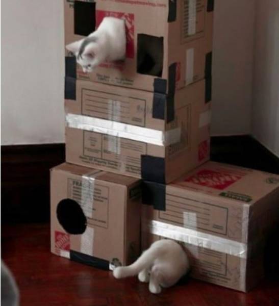 Perfectly Timed Photos (50 pics)