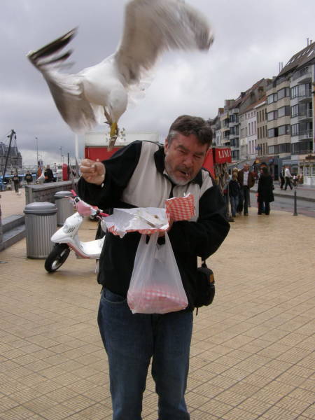 Perfectly Timed Photos (50 pics)