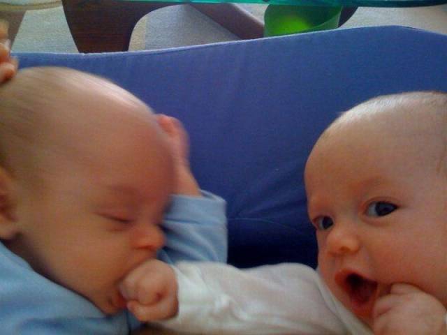 Perfectly Timed Photos (50 pics)