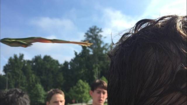 Perfectly Timed Photos (50 pics)