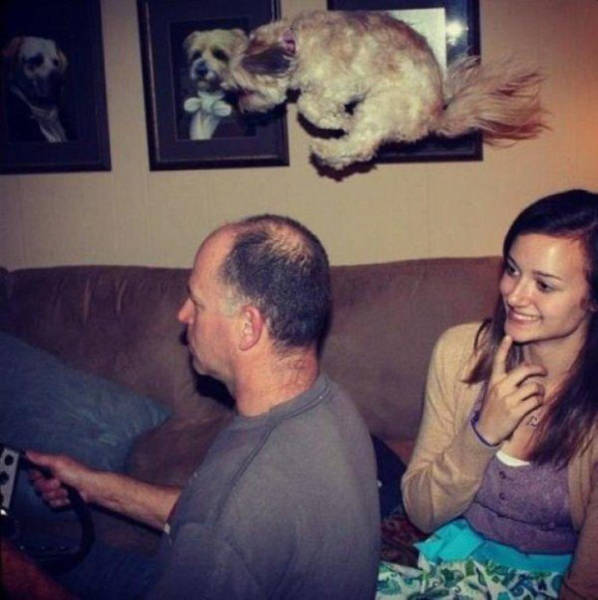 Perfectly Timed Photos (50 pics)