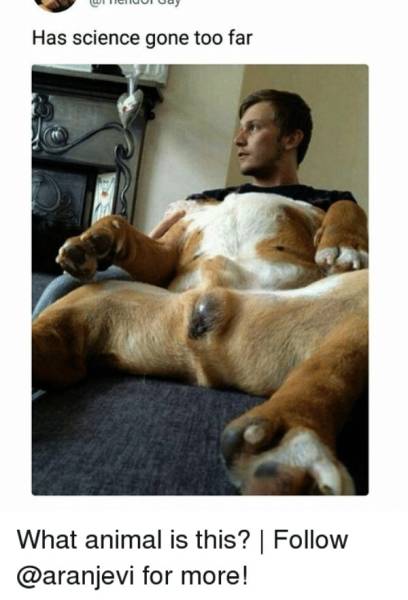 There Is A Line Where Science Should Stop (29 pics)
