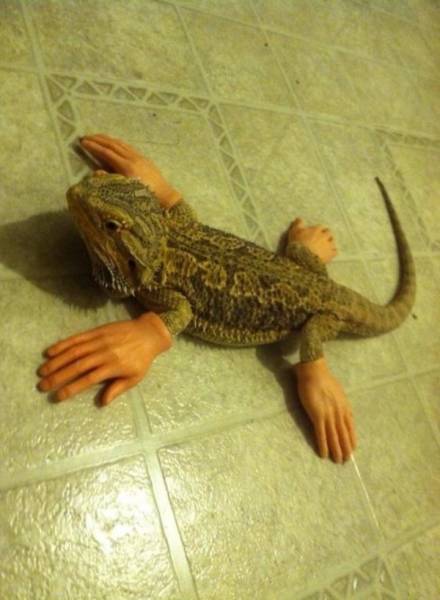 There Is A Line Where Science Should Stop (29 pics)