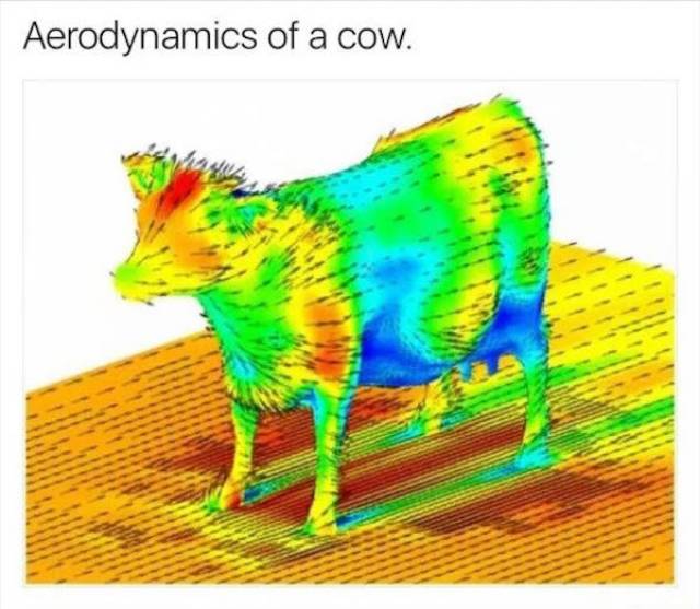 There Is A Line Where Science Should Stop (29 pics)