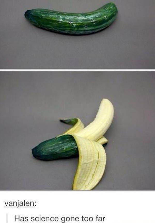 There Is A Line Where Science Should Stop (29 pics)