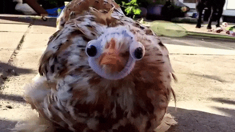 There Is A Line Where Science Should Stop (29 pics)