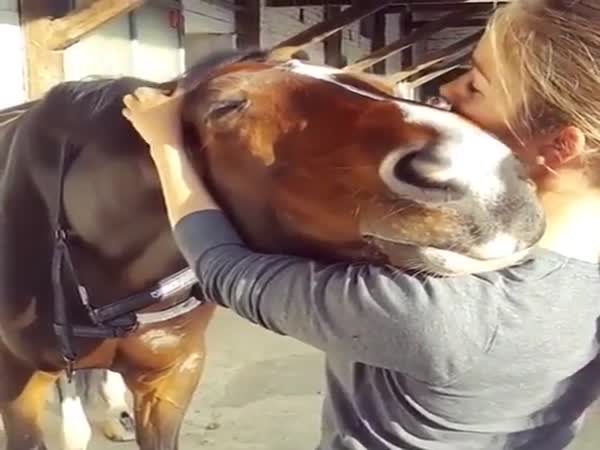 Horse's Smile Is Contagious