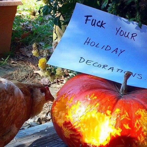 Chickenshaming (25 pics)