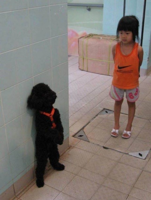 Acid Picdump (93 pics)