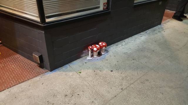 Acid Picdump (93 pics)