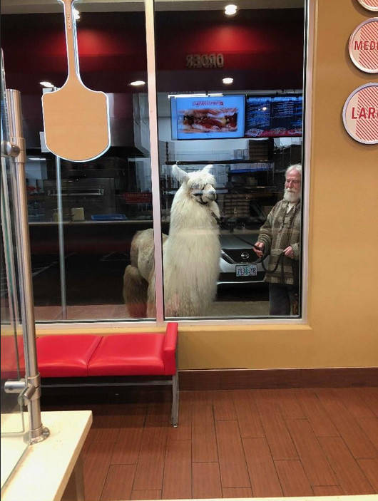Acid Picdump (93 pics)