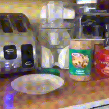 Acid Gifdump, November 07, 2018 (25 gifs)