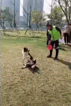 Acid Gifdump, November 07, 2018 (25 gifs)