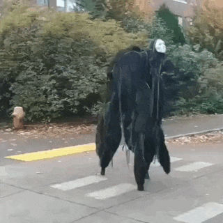 Acid Gifdump, November 07, 2018 (25 gifs)